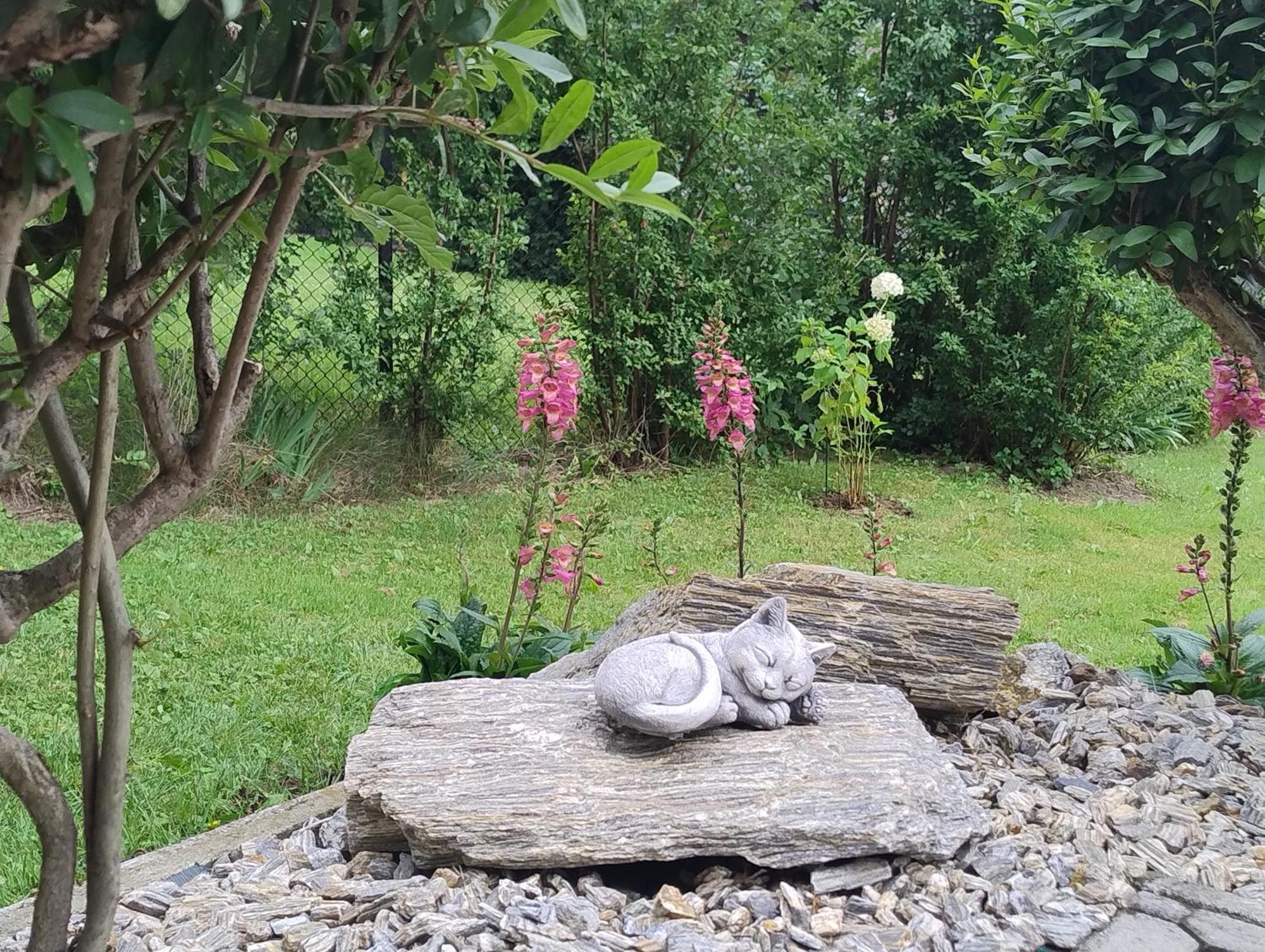 Villa Sloneczne Wzgorze Ustron Dış mekan fotoğraf